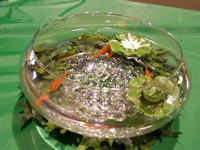 Fishbowl decoration