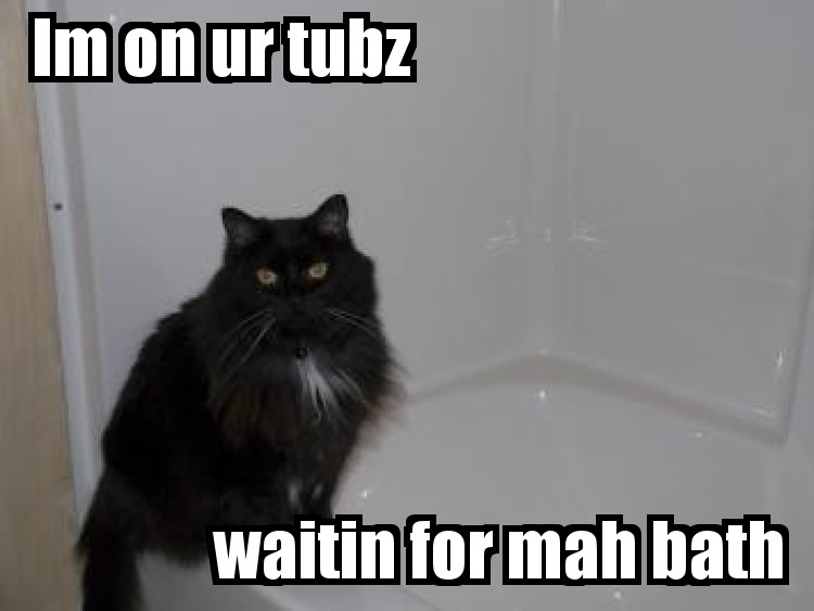 LOLCat featuring Treble.... in your bathroom.